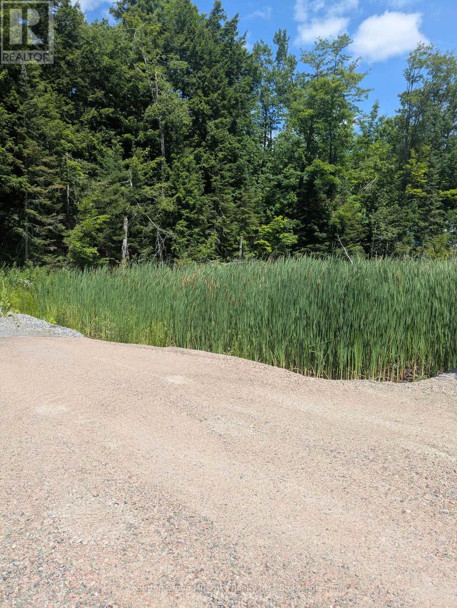 0 118 Highway E, Bracebridge, Ontario  P1L 1X1 - Photo 3 - X12263787