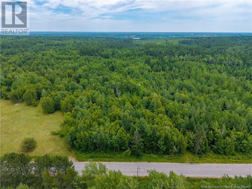 Lloyd Road, Miramichi, New Brunswick  E1V 6L5 - Photo 3 - NB115120