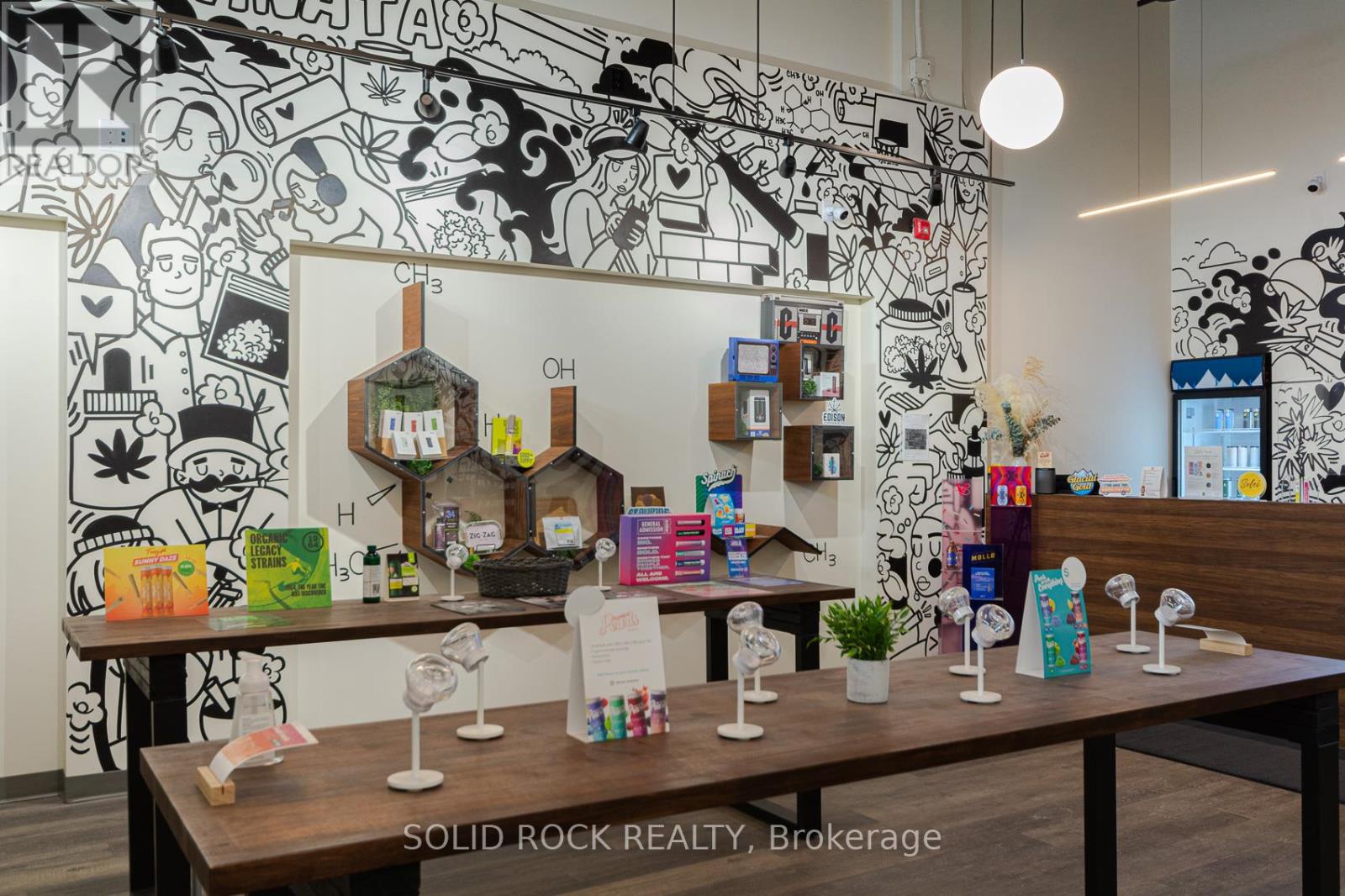 767 Silver Seven Road, Ottawa, Ontario  K2V 0H1 - Photo 6 - X12272802