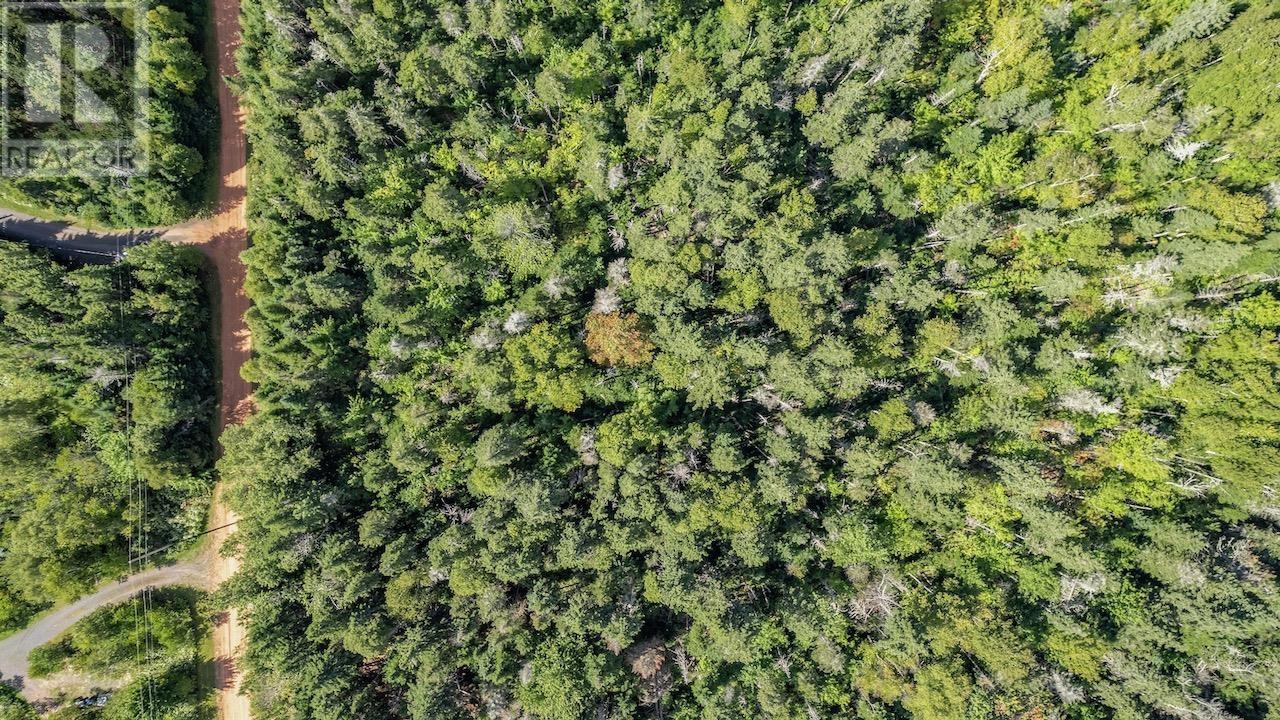 Lot 14 Cartersway Lane, Eglington, Prince Edward Island  C0A 2B0 - Photo 9 - 202517034