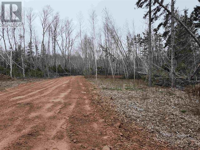 Tbd Hazels Way, Gaspereaux, Prince Edward Island  C0A 1R0 - Photo 2 - 202517055