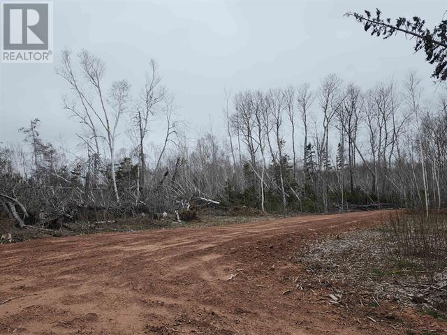 Tbd Hazels Way, Gaspereaux, Prince Edward Island  C0A 1R0 - Photo 4 - 202517055