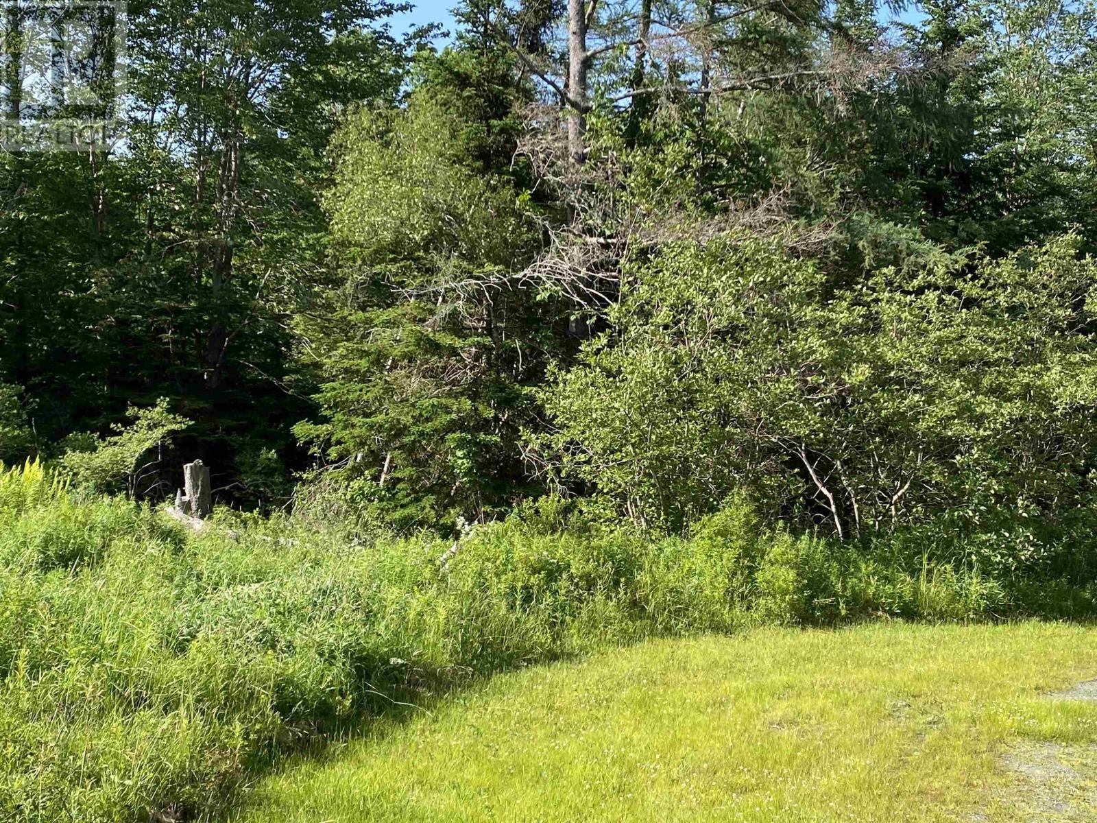 46 Homer Lane, Porters Lake, Nova Scotia  B3E 1G1 - Photo 3 - 202517038