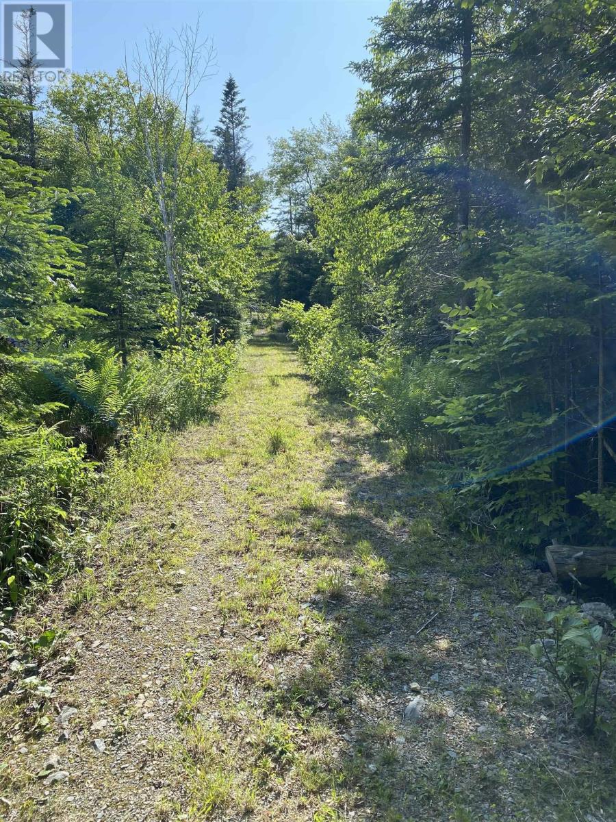 46 Homer Lane, Porters Lake, Nova Scotia  B3E 1G1 - Photo 5 - 202517038