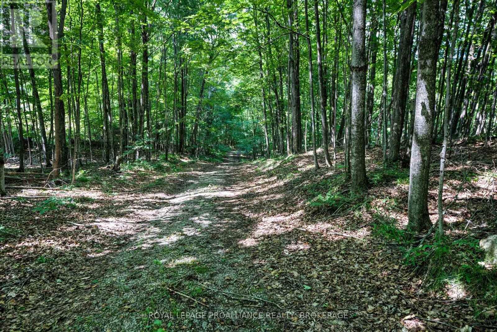 98 Rocky Ridge Lane, Rideau Lakes, Ontario  K0G 1X0 - Photo 3 - X12273269
