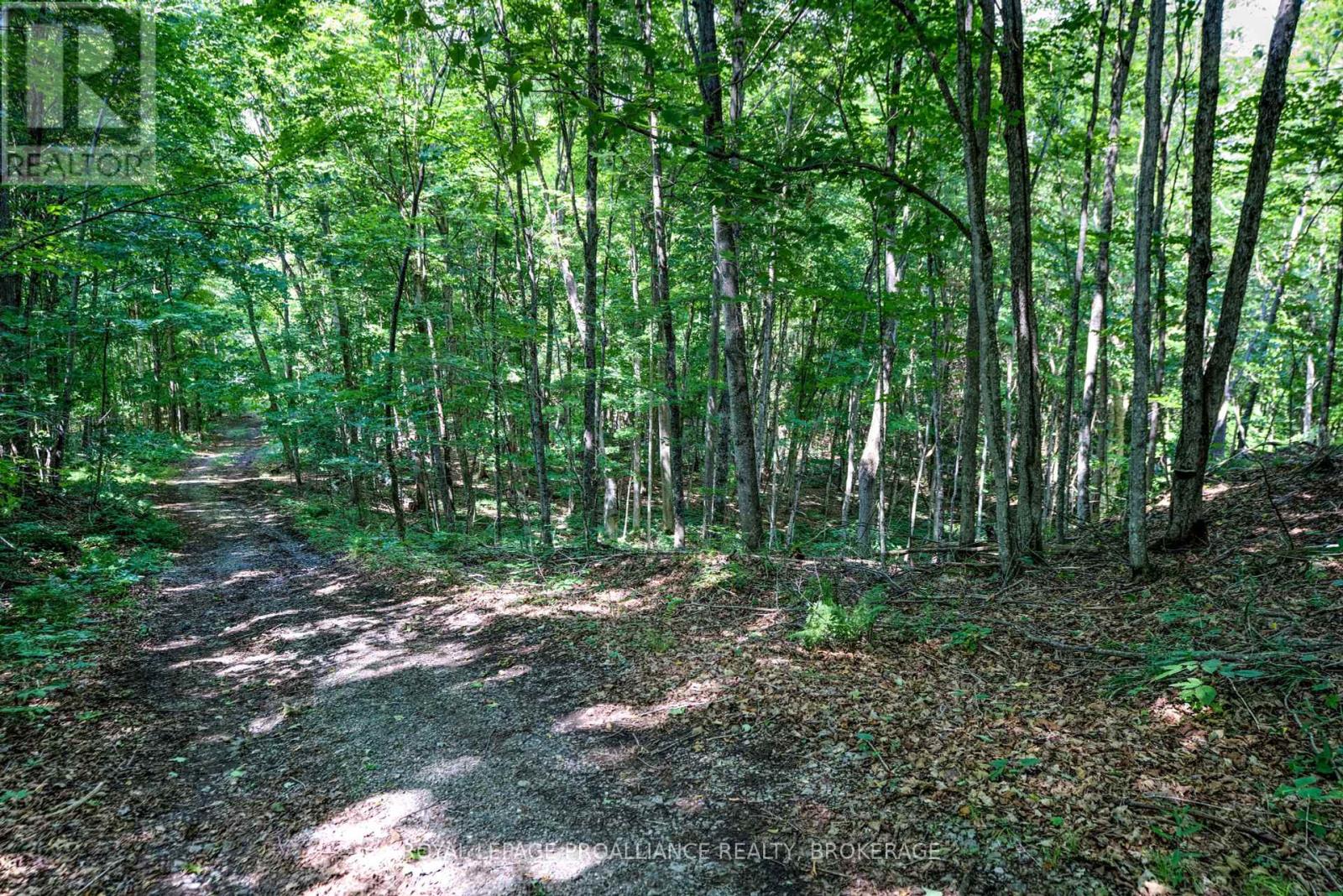 98 Rocky Ridge Lane, Rideau Lakes, Ontario  K0G 1X0 - Photo 4 - X12273269