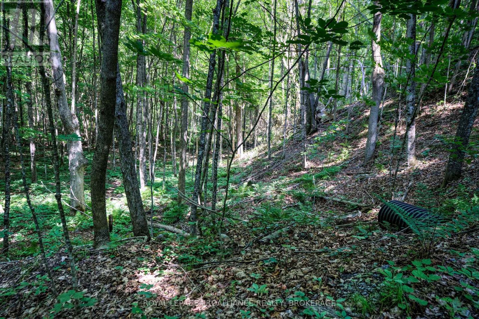 98 Rocky Ridge Lane, Rideau Lakes, Ontario  K0G 1X0 - Photo 5 - X12273269