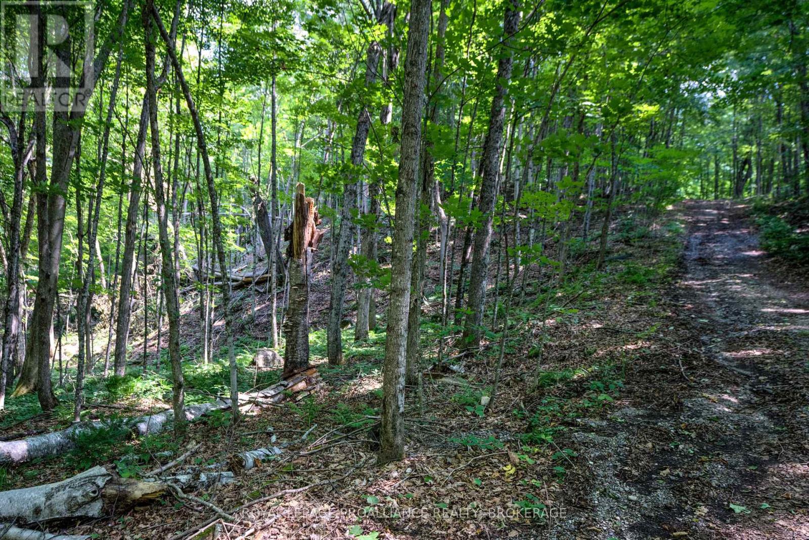 98 Rocky Ridge Lane, Rideau Lakes, Ontario  K0G 1X0 - Photo 6 - X12273269
