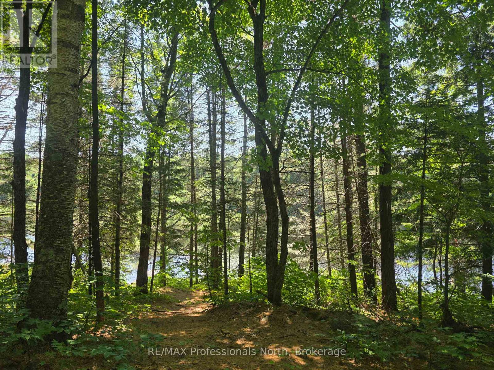 1134 Walkers Line Road, Algonquin Highlands (Stanhope), Ontario  K0M 1S0 - Photo 12 - X12265431