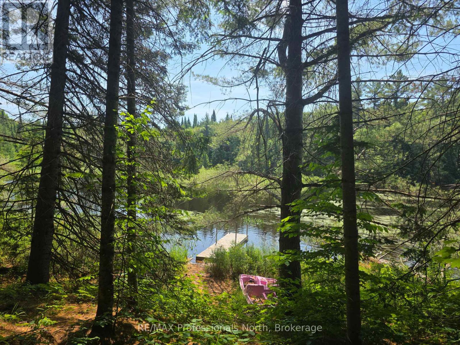 1134 Walkers Line Road, Algonquin Highlands (Stanhope), Ontario  K0M 1S0 - Photo 10 - X12265431
