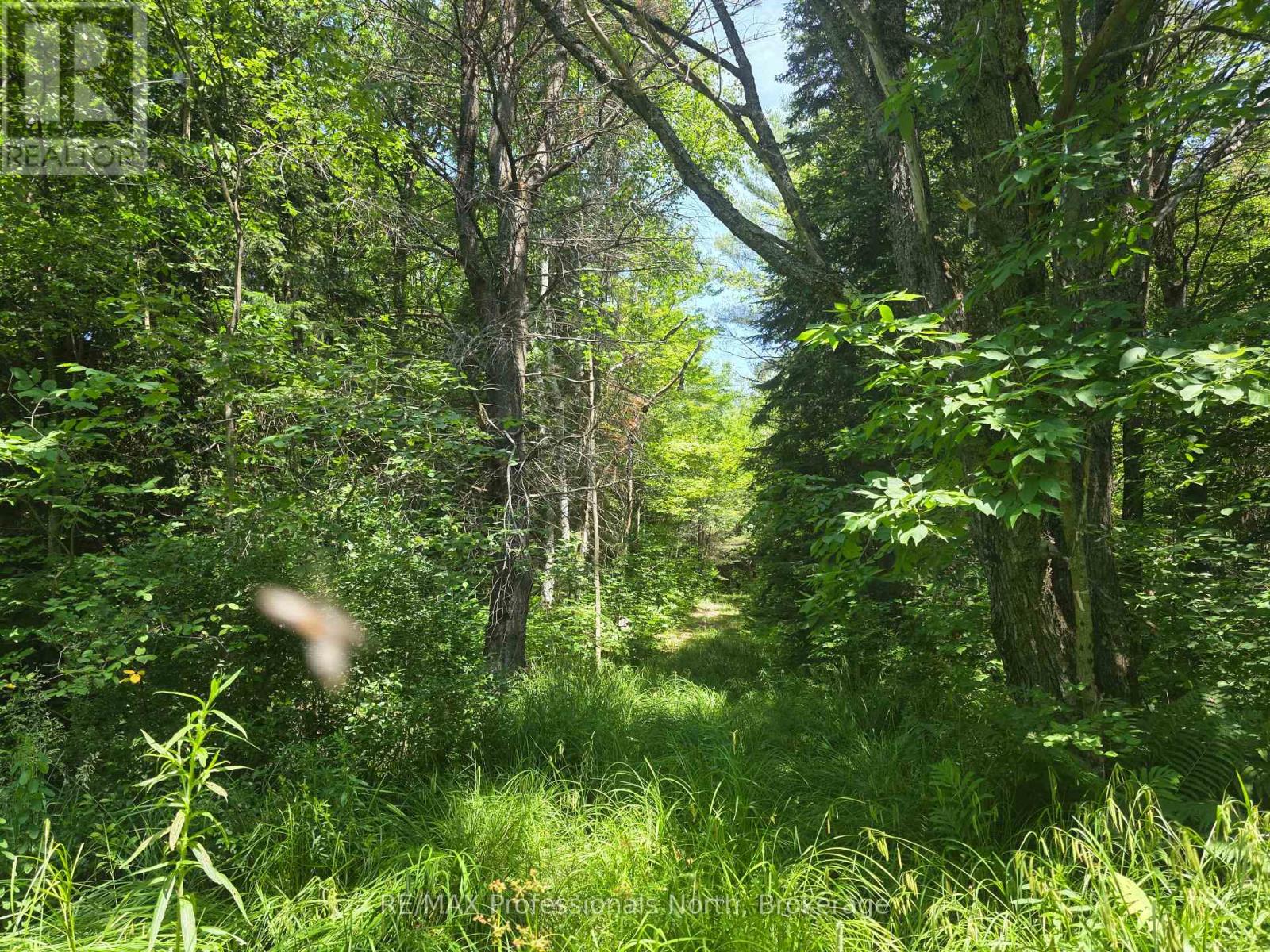 1134 Walkers Line Road, Algonquin Highlands (Stanhope), Ontario  K0M 1S0 - Photo 18 - X12265431