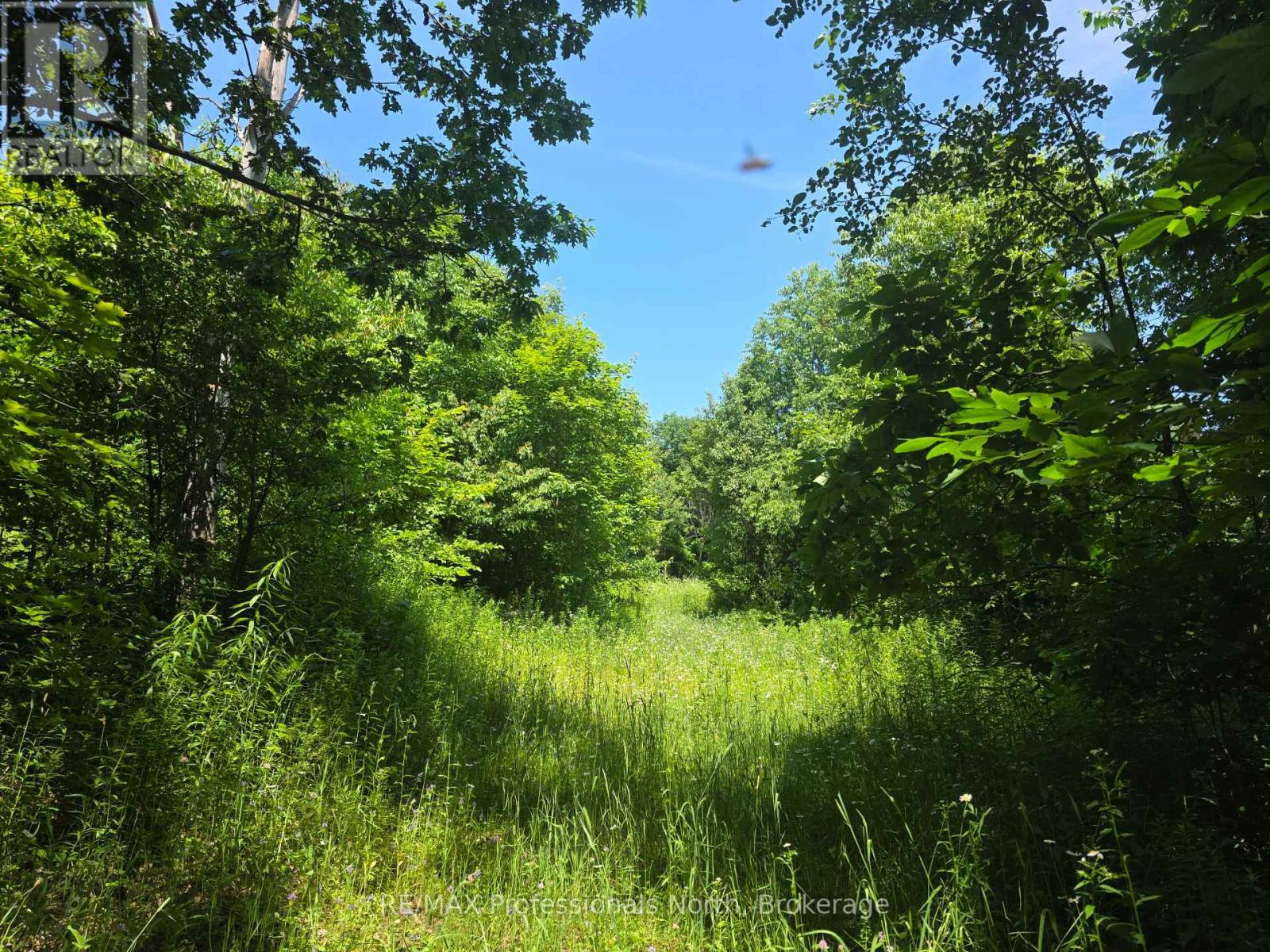 1134 Walkers Line Road, Algonquin Highlands (Stanhope), Ontario  K0M 1S0 - Photo 19 - X12265431