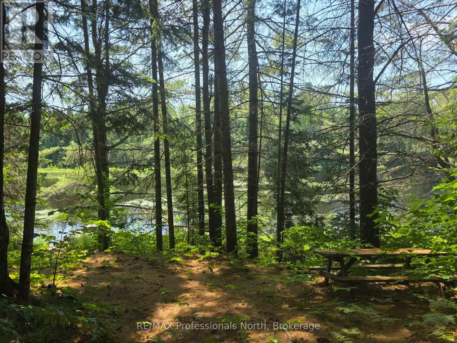 1134 Walkers Line Road, Algonquin Highlands (Stanhope), Ontario  K0M 1S0 - Photo 11 - X12265431