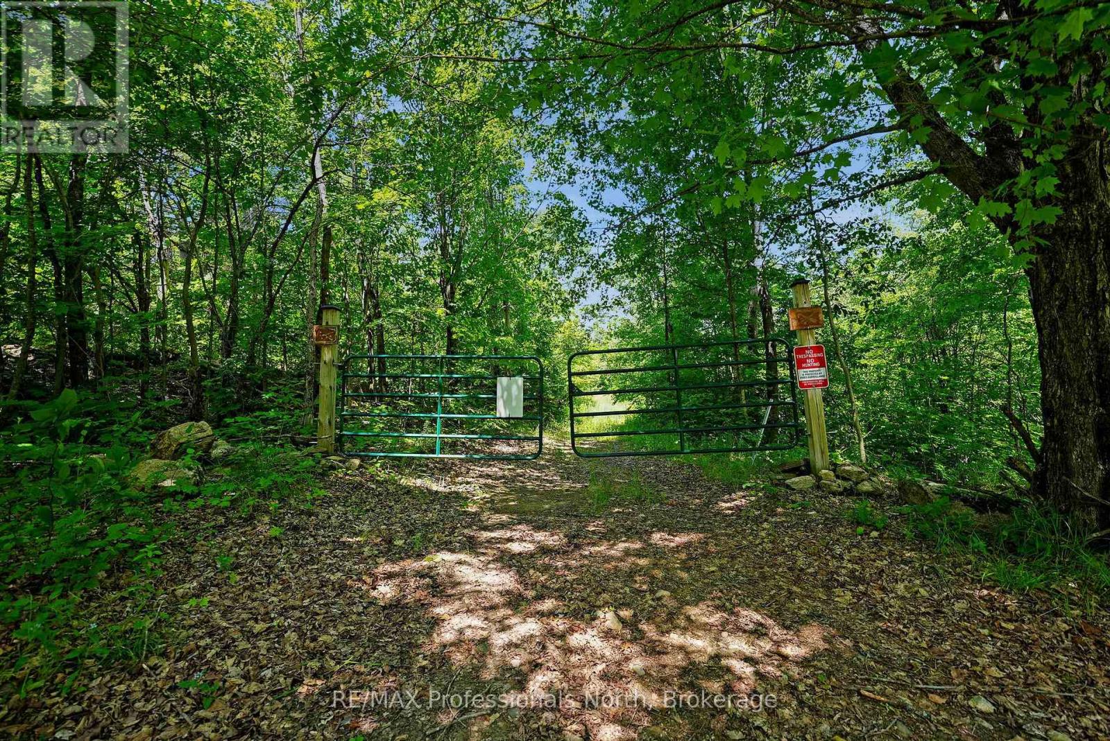 1134 Walkers Line Road, Algonquin Highlands (Stanhope), Ontario  K0M 1S0 - Photo 4 - X12265431