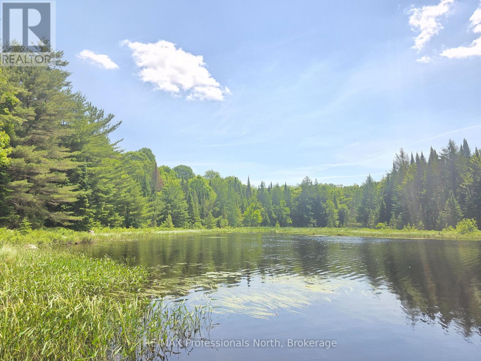 1134 Walkers Line Road, Algonquin Highlands (Stanhope), Ontario  K0M 1S0 - Photo 6 - X12265431