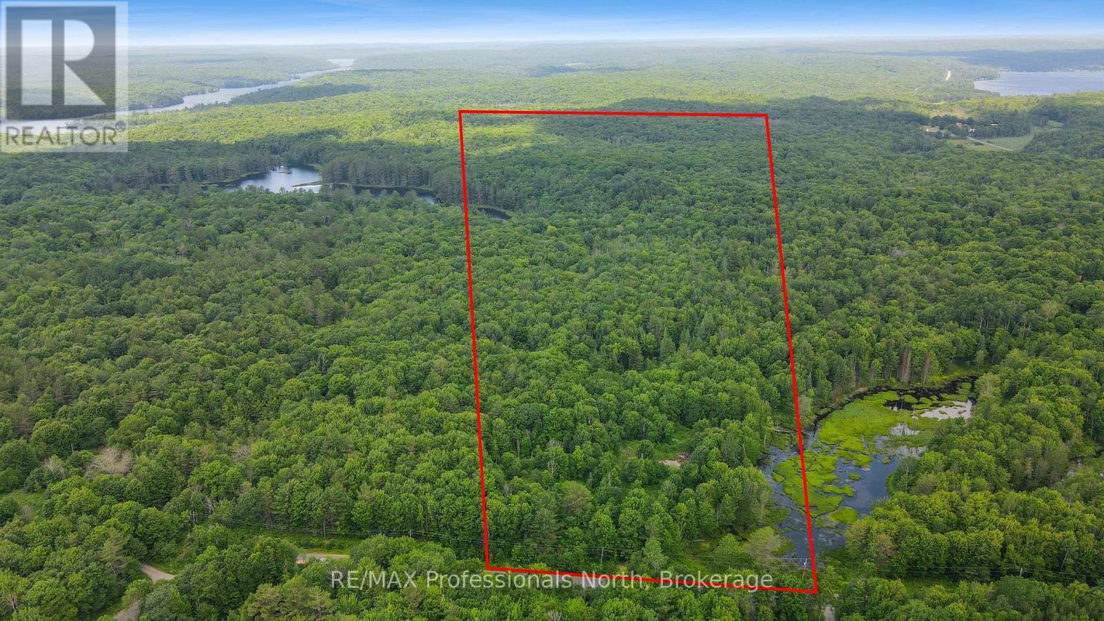 1134 Walkers Line Road, Algonquin Highlands (Stanhope), Ontario  K0M 1S0 - Photo 2 - X12265431