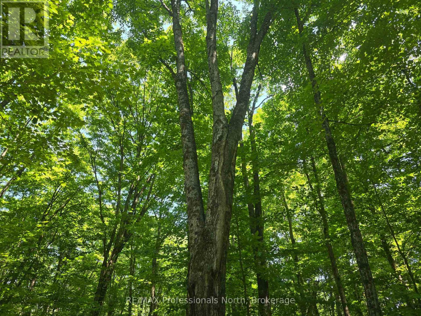 1134 Walkers Line Road, Algonquin Highlands (Stanhope), Ontario  K0M 1S0 - Photo 13 - X12265431