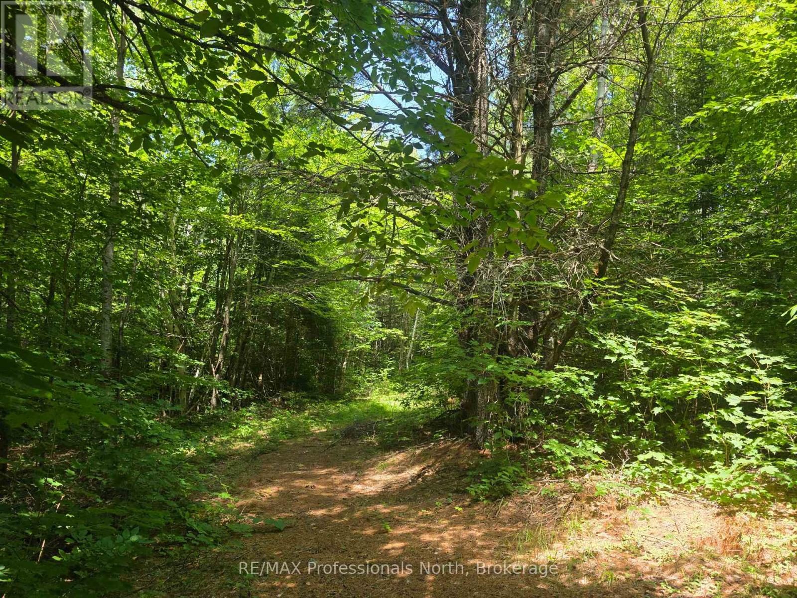 1134 Walkers Line Road, Algonquin Highlands (Stanhope), Ontario  K0M 1S0 - Photo 15 - X12265431