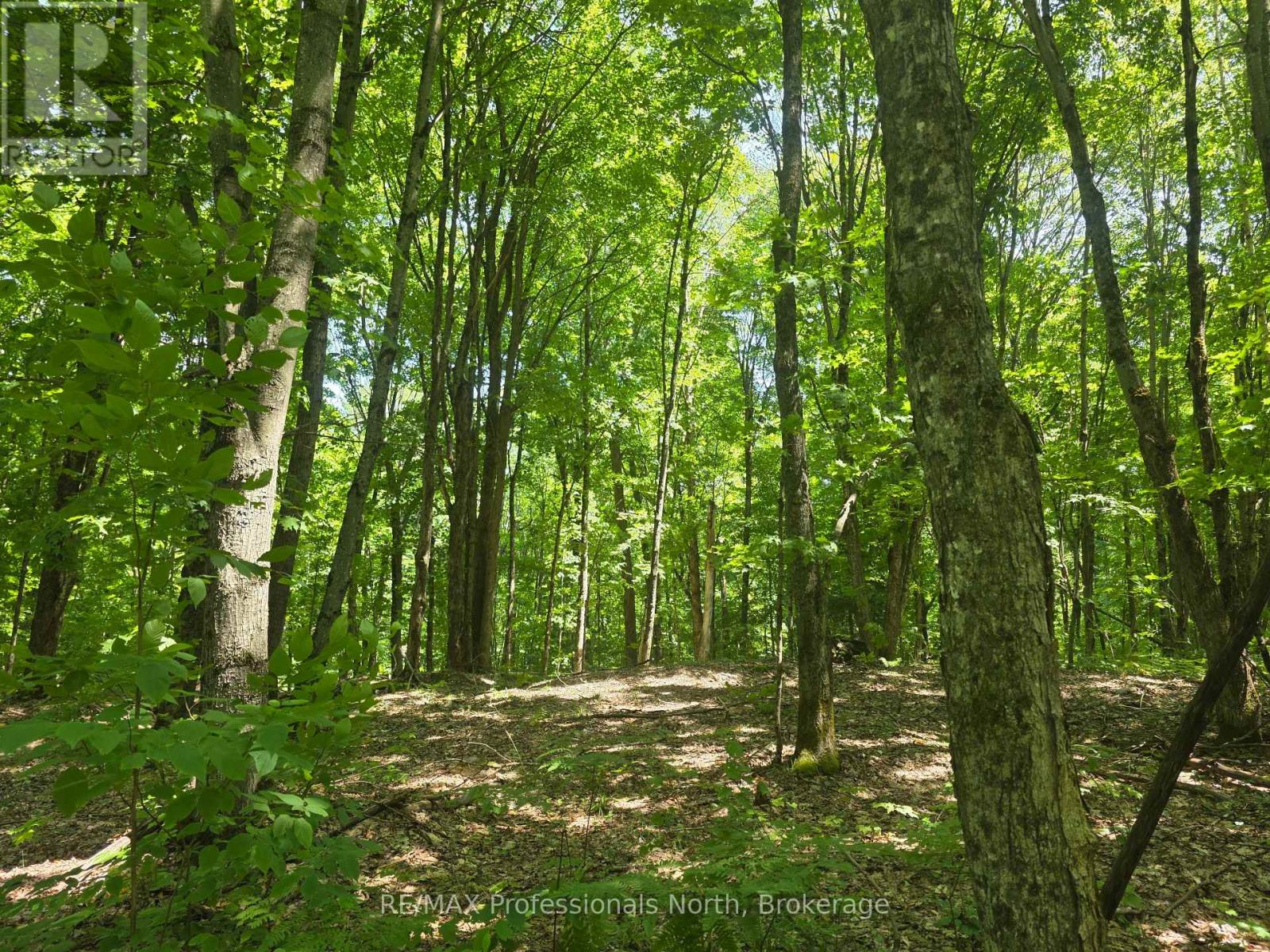 1134 Walkers Line Road, Algonquin Highlands (Stanhope), Ontario  K0M 1S0 - Photo 14 - X12265431