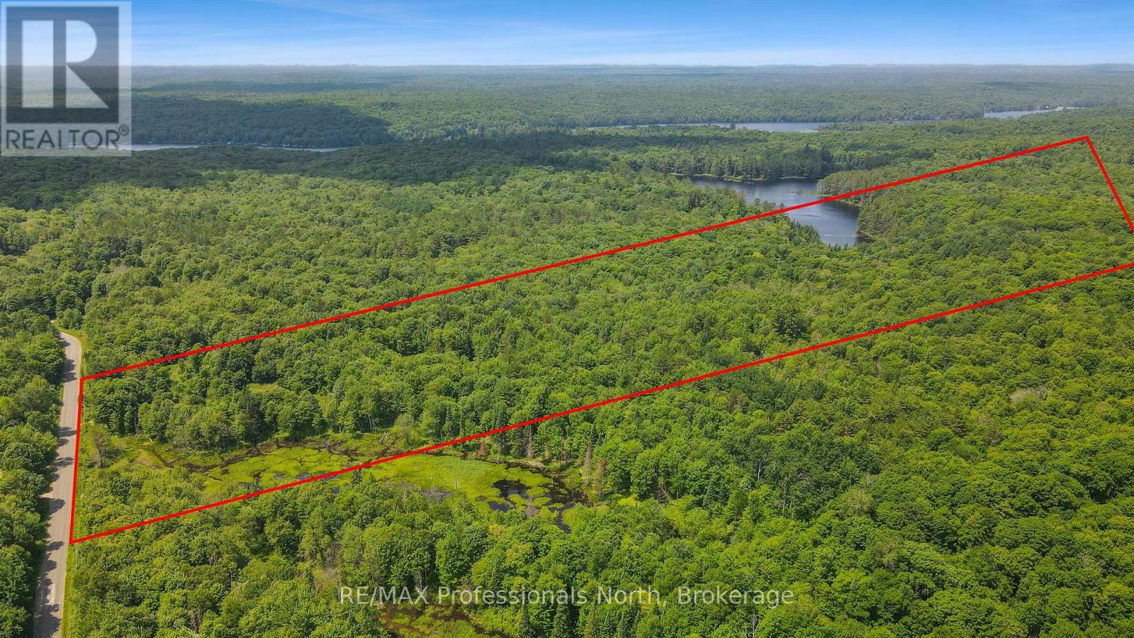 1134 Walkers Line Road, Algonquin Highlands (Stanhope), Ontario  K0M 1S0 - Photo 3 - X12265431
