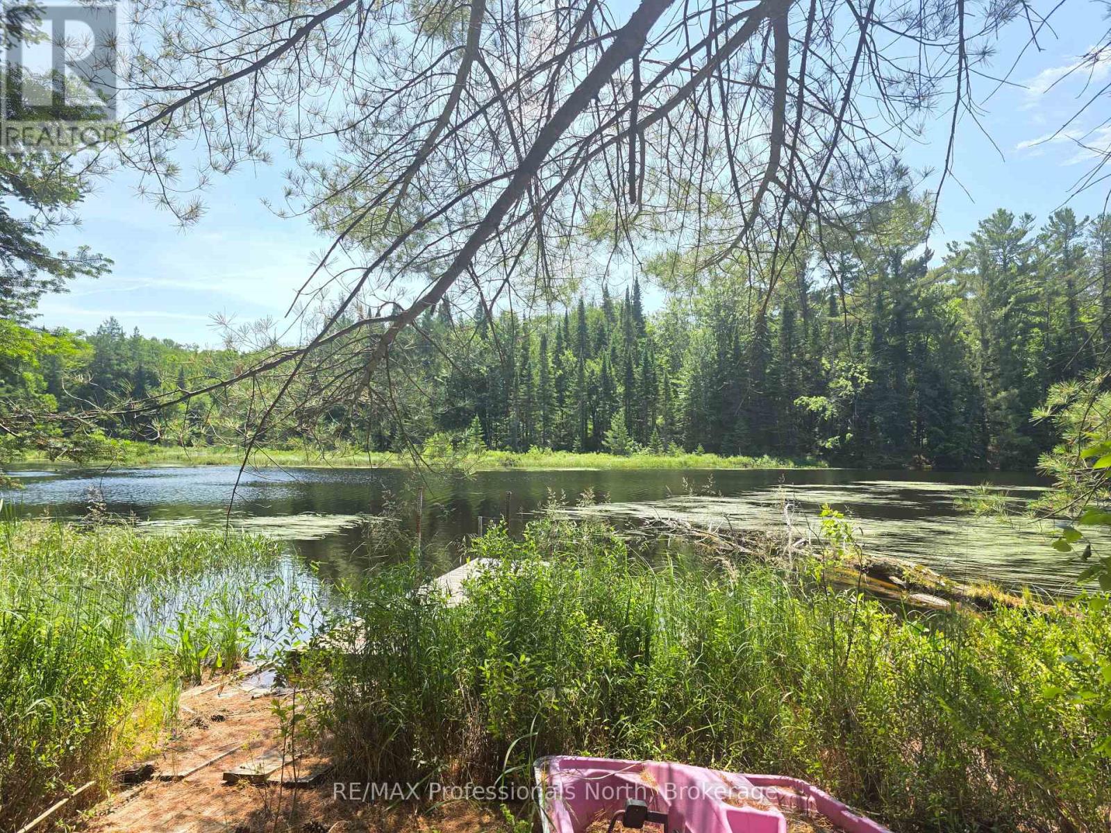 1134 Walkers Line Road, Algonquin Highlands (Stanhope), Ontario  K0M 1S0 - Photo 8 - X12265431