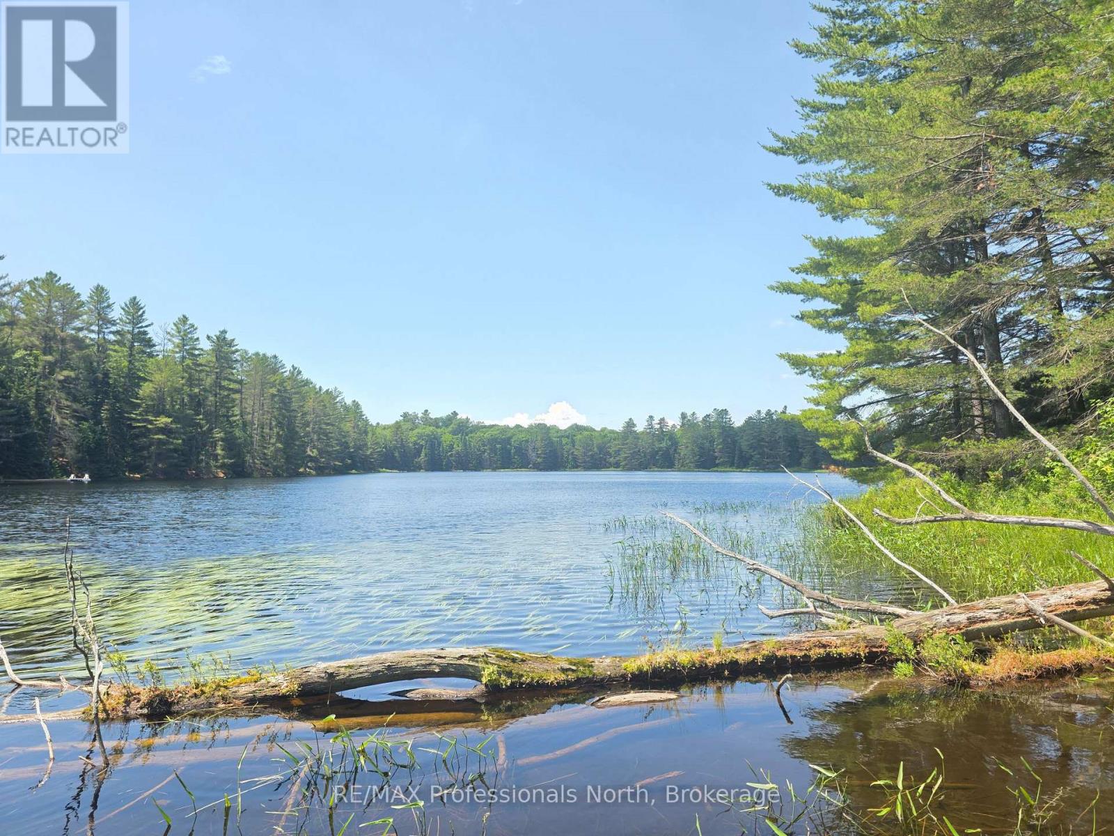 1134 Walkers Line Road, Algonquin Highlands (Stanhope), Ontario  K0M 1S0 - Photo 7 - X12265431