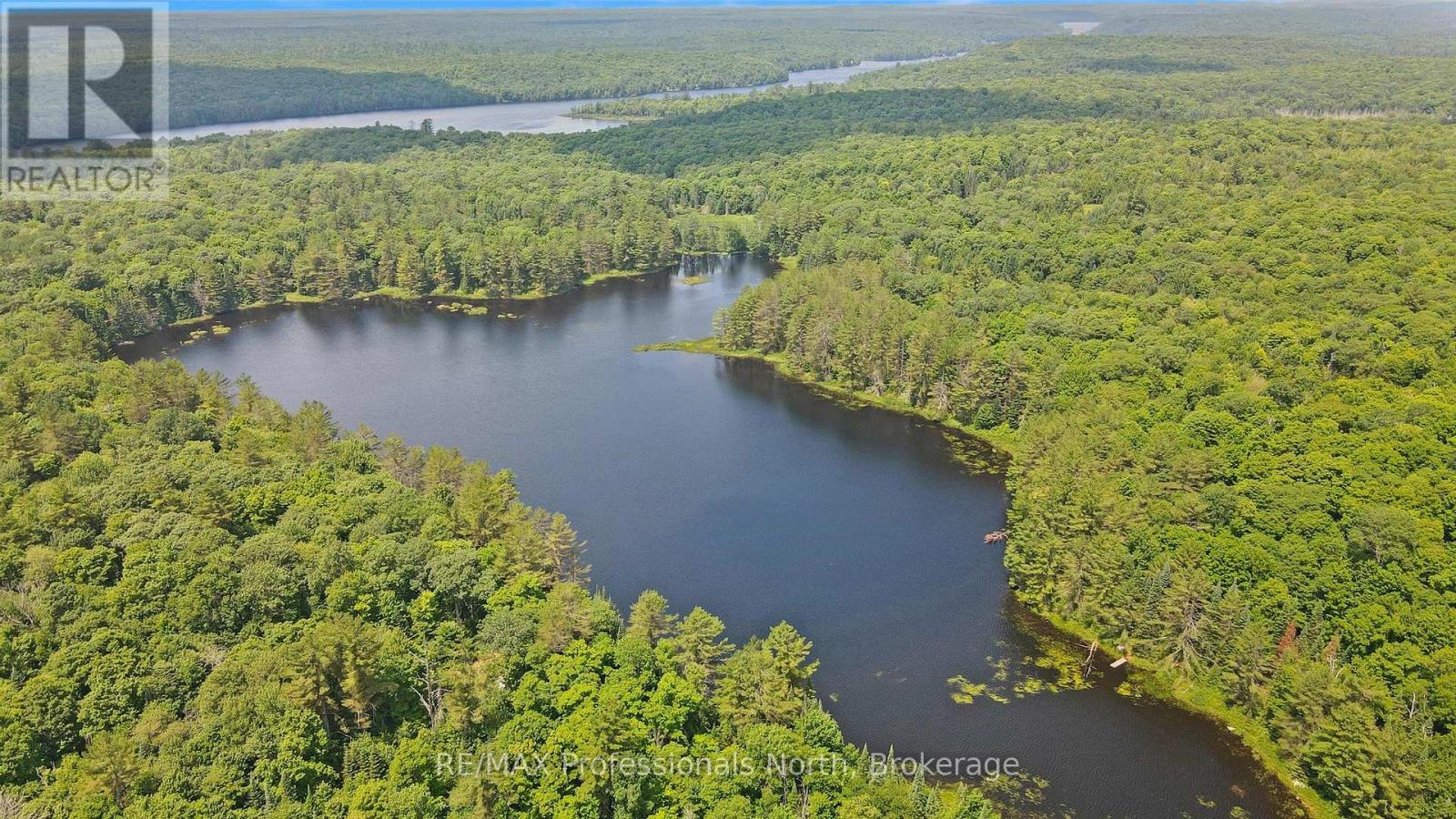 1134 Walkers Line Road, Algonquin Highlands (Stanhope), Ontario  K0M 1S0 - Photo 9 - X12265431