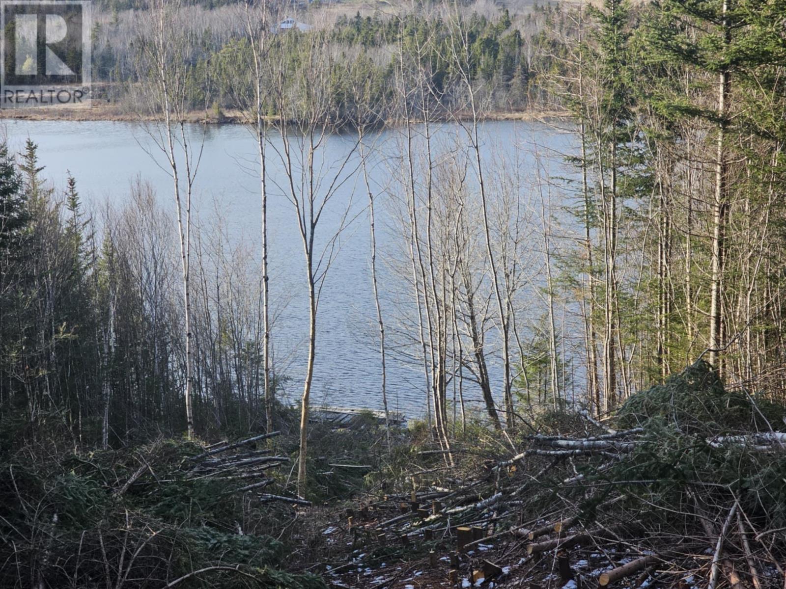 138 Grand Mira South Road, Marion Bridge, Nova Scotia  B1K 1E7 - Photo 34 - 202418101