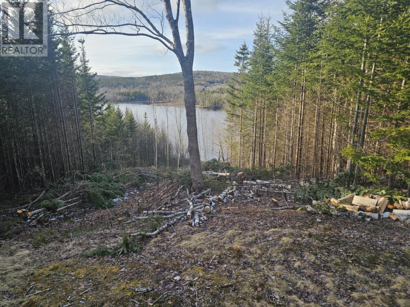 138 Grand Mira South Road, Marion Bridge, Nova Scotia  B1K 1E7 - Photo 35 - 202418101