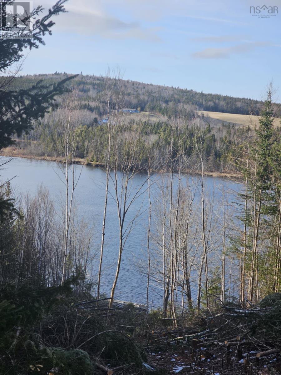 138 Grand Mira South Road, Marion Bridge, Nova Scotia  B1K 1E7 - Photo 33 - 202418101