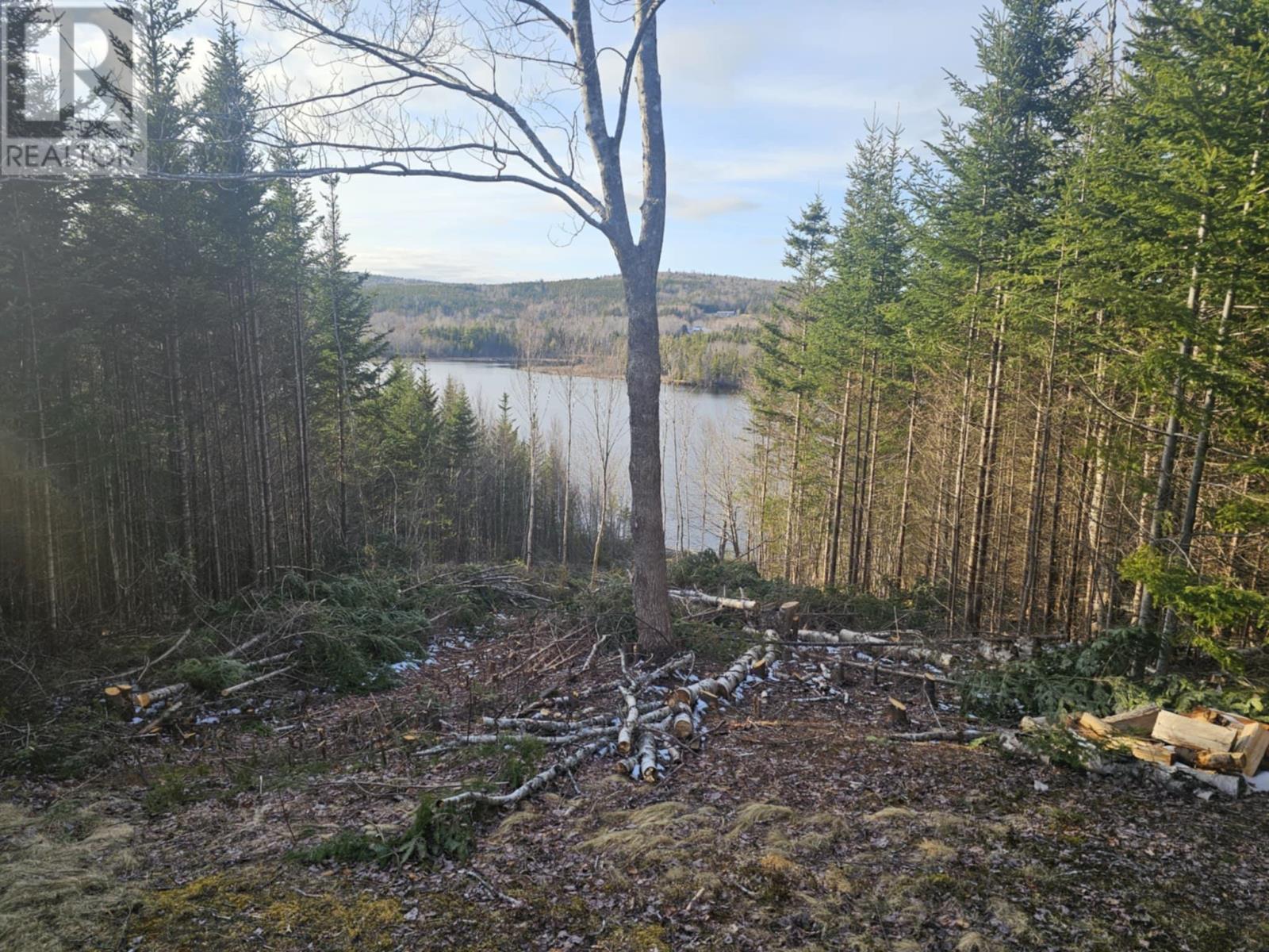 138 Grand Mira South Road, Marion Bridge, Nova Scotia  B1K 1E7 - Photo 37 - 202418101
