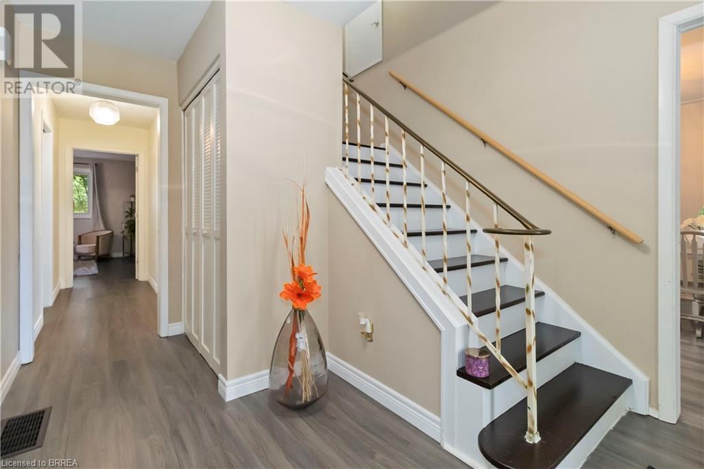 Property at 7 MAGNOLIA Street image 4