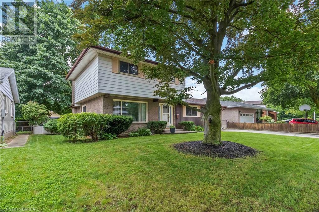 Property at 7 MAGNOLIA Street image 3