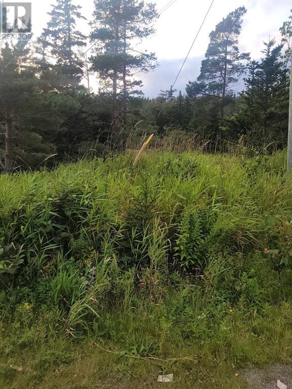 Property at 86 Conception Bay Highway Unit#Lot 1 image