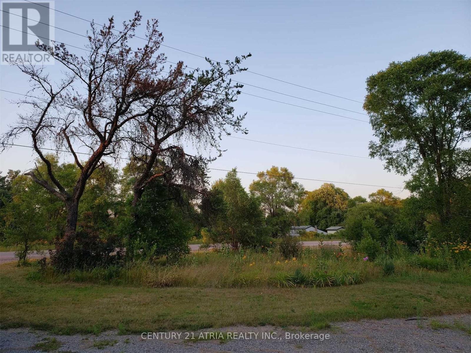 19452 Holland Landing Road, East Gwillimbury (Holland Landing), Ontario  L9N 1M8 - Photo 10 - N12273210