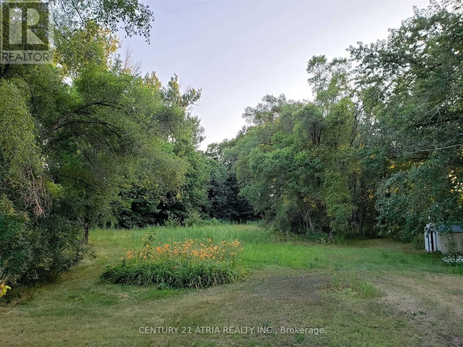 19452 Holland Landing Road, East Gwillimbury (Holland Landing), Ontario  L9N 1M8 - Photo 7 - N12273210
