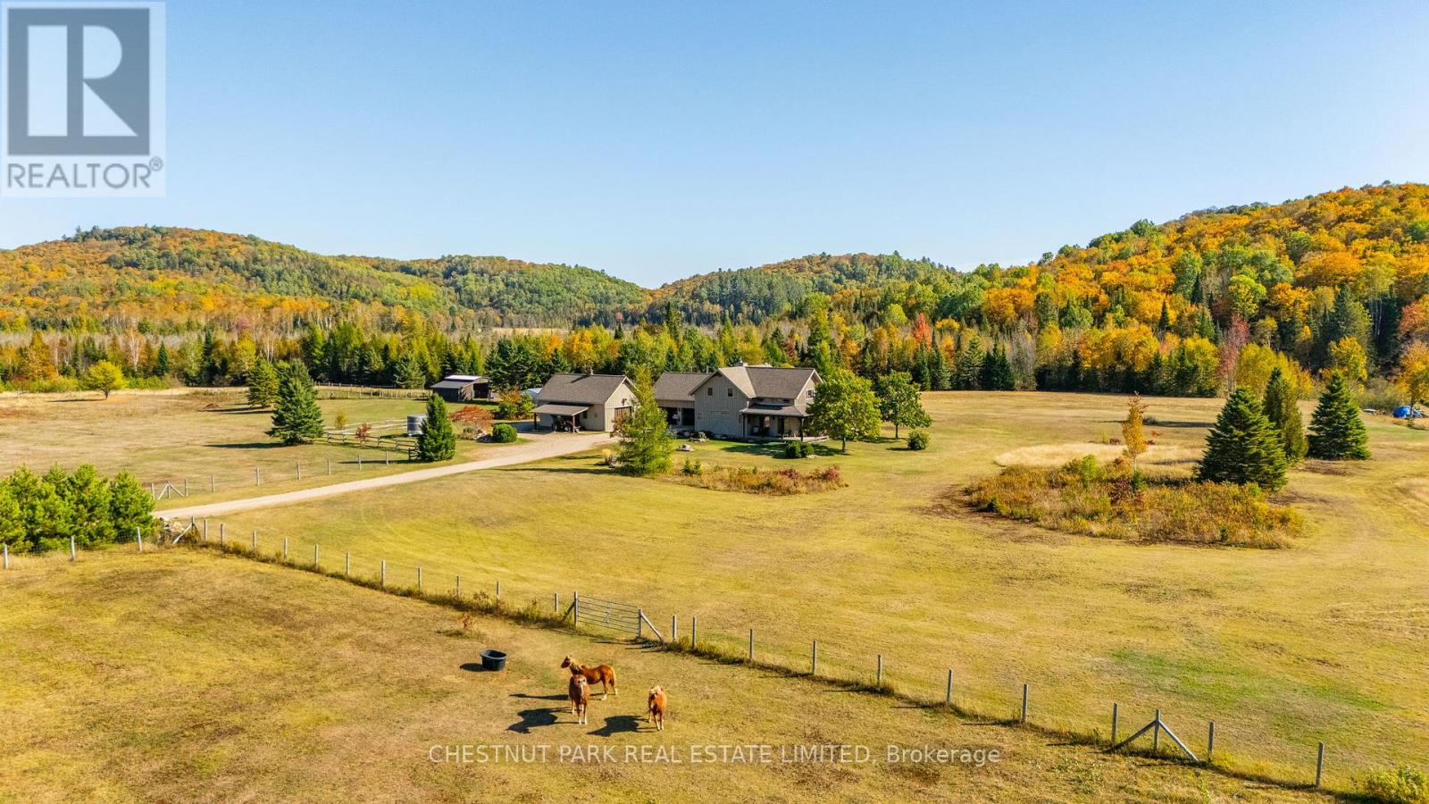 778 Maxwell Settlement Road, Bancroft (Dungannon Ward), Ontario  K0L 1C0 - Photo 1 - X12273237