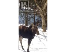 224 STEPHENSON 4 ROAD W