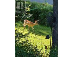 224 STEPHENSON 4 ROAD W