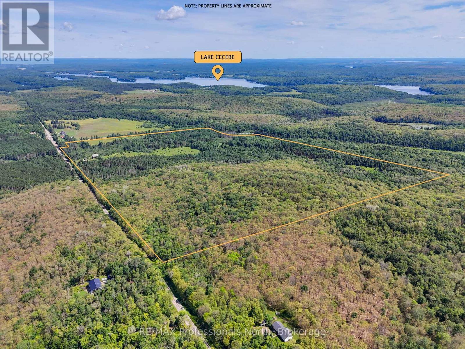 905 Starratt Road, Ryerson, Ontario  P0A 1C0 - Photo 6 - X12273574