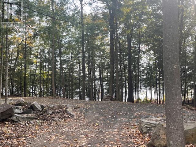 0 Hwy 35, Algonquin Highlands, Ontario  K0M 1S0 - Photo 30 - X12116185