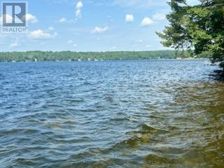 0 Hwy 35, Algonquin Highlands, Ontario  K0M 1S0 - Photo 15 - X12116185