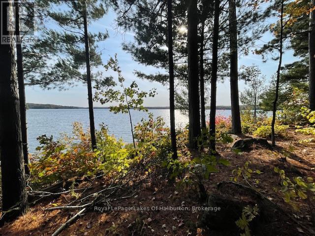 0 Hwy 35, Algonquin Highlands, Ontario  K0M 1S0 - Photo 16 - X12116185