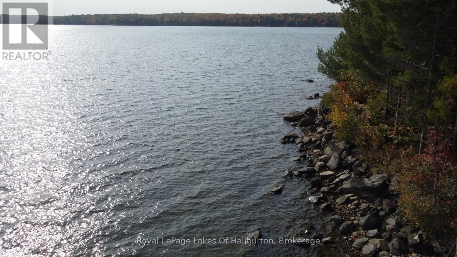 0 Hwy 35, Algonquin Highlands, Ontario  K0M 1S0 - Photo 21 - X12116185