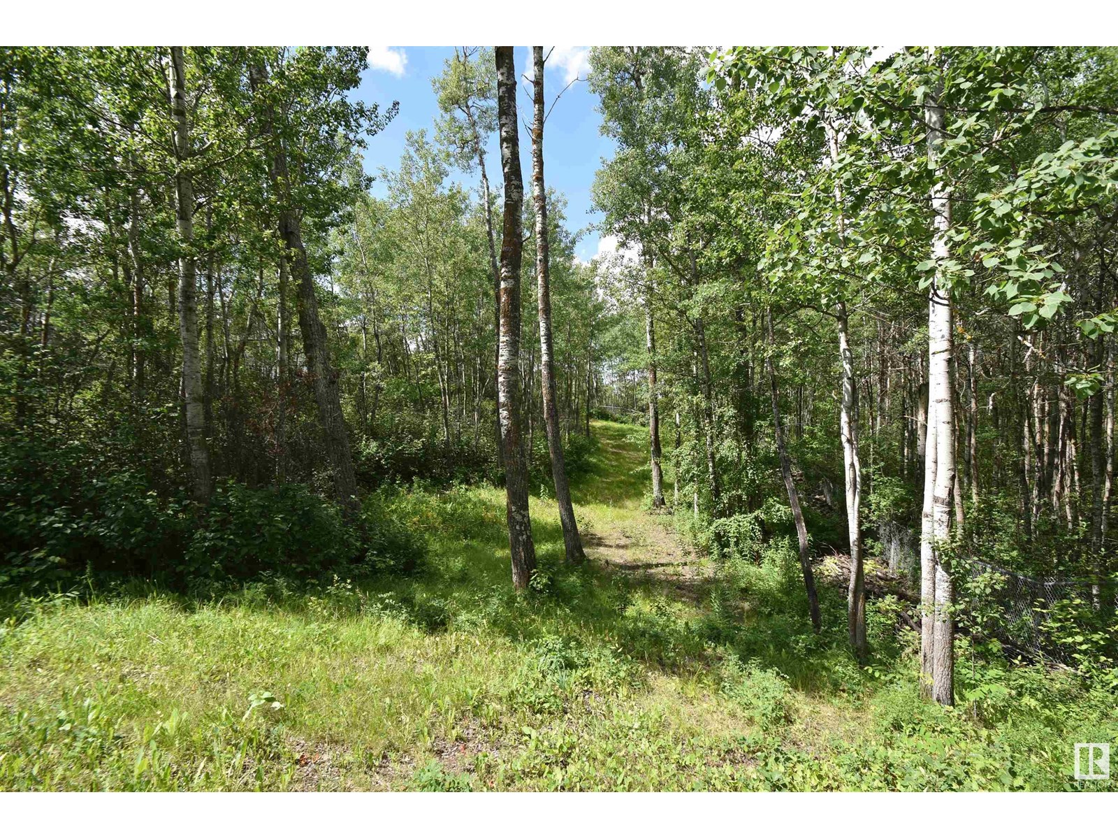 #215 58532 Rng Rd 113, Rural St. Paul County, Alberta  T0A 3A0 - Photo 9 - E4446335