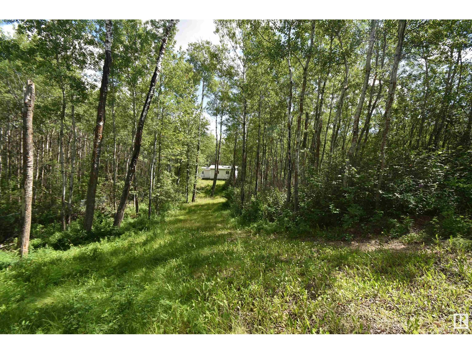 #215 58532 Rng Rd 113, Rural St. Paul County, Alberta  T0A 3A0 - Photo 11 - E4446335