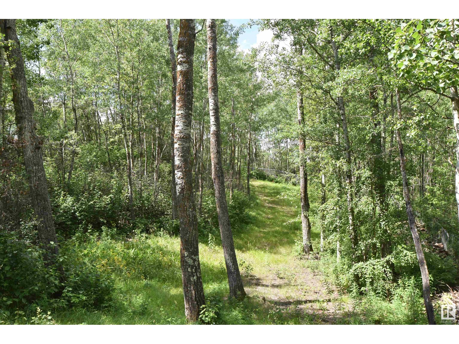 #215 58532 Rng Rd 113, Rural St. Paul County, Alberta  T0A 3A0 - Photo 10 - E4446335