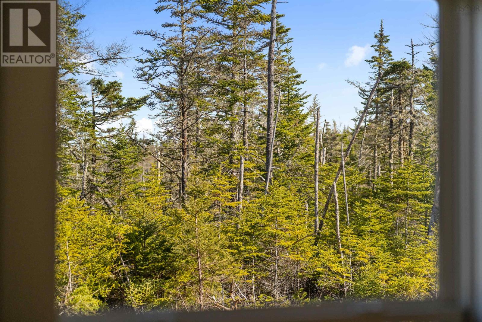 10588 Highway 7, Oyster Pond, Nova Scotia  B0J 2L0 - Photo 38 - 202505545