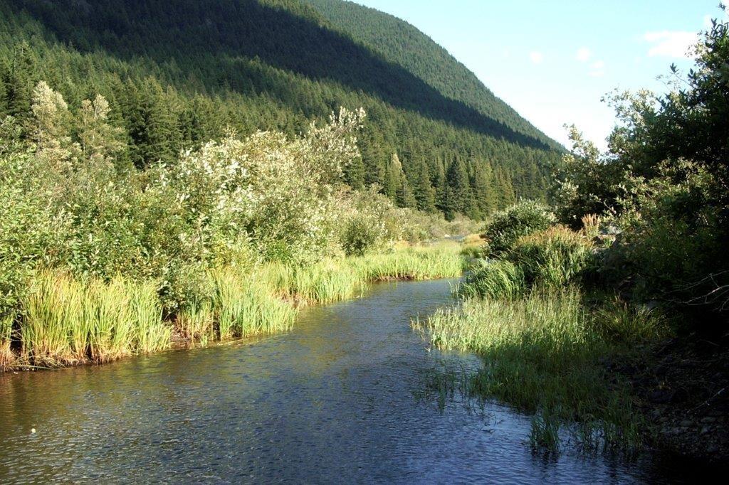 70901 Old Hope Princeton Highway, Sunshine Valley, Sunshine Valley, British Columbia  V0X 1L5 - Photo 20 - R3024508