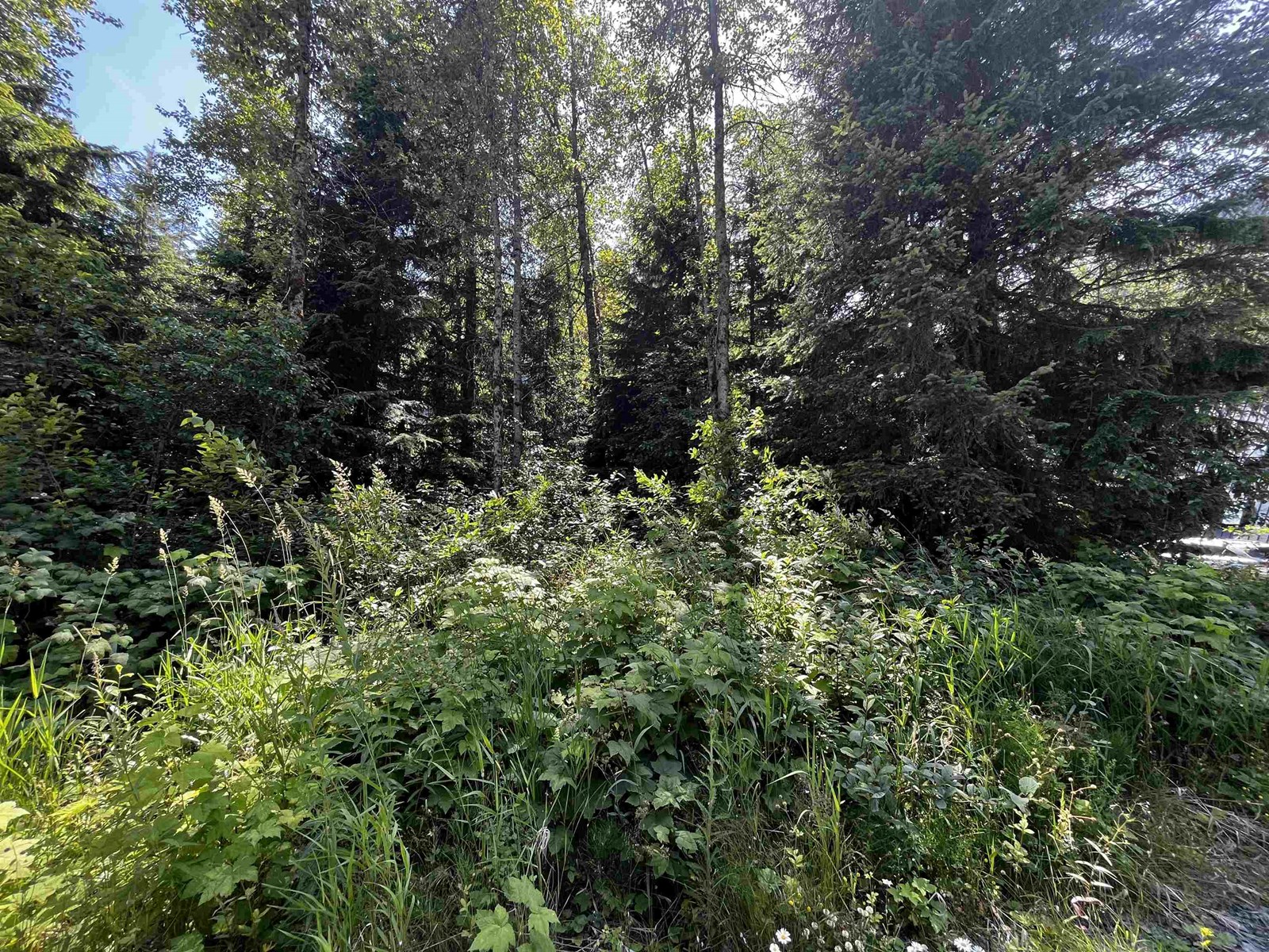 70901 Old Hope Princeton Highway, Sunshine Valley, Sunshine Valley, British Columbia  V0X 1L5 - Photo 4 - R3024508